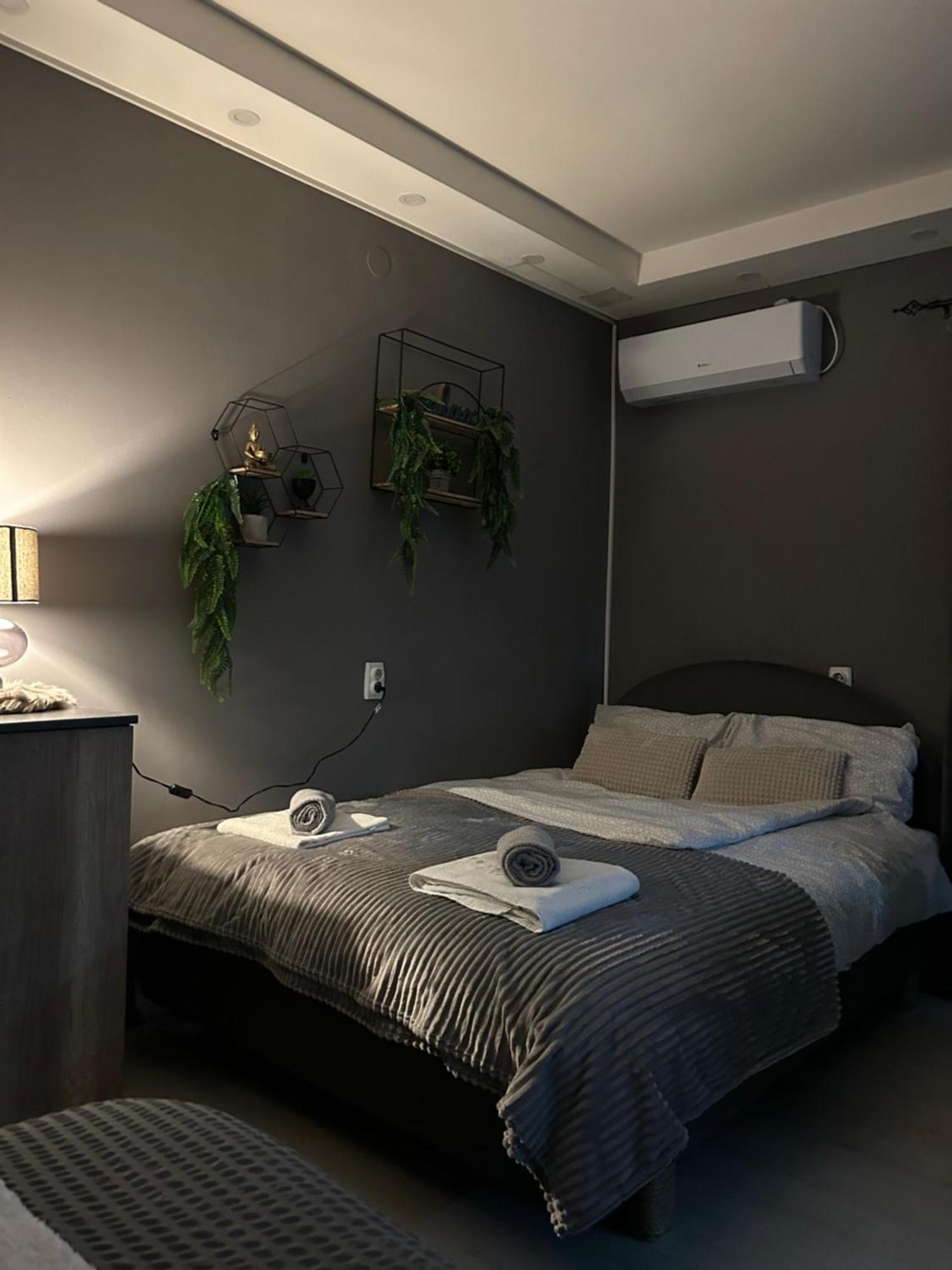 Zaječar Beta House Apartments מראה חיצוני תמונה